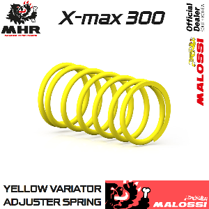 17~24 X-MAX 300 클러치 센터 스프링 [2918425.Y0]
